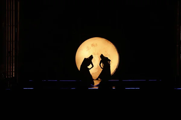 Dansers Silhouet Maanlicht Een Podium — Stockfoto