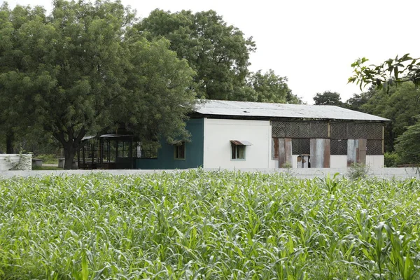 Verlaten Huis Het Platteland Dorp — Stockfoto