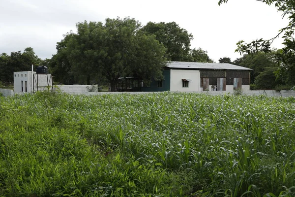 Заброшенный Дом Сельской Деревне — стоковое фото