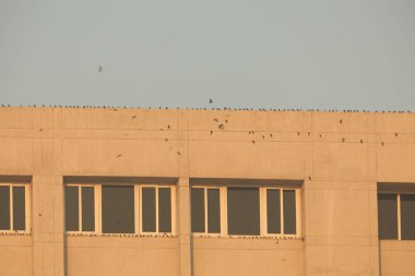 Modern Binanın Dışı