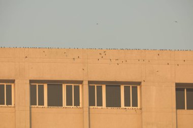 Modern Binanın Dışı