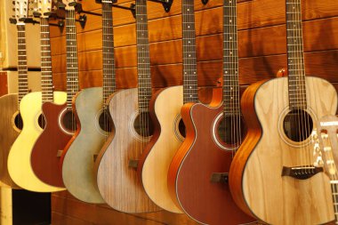Müzik Enstrümanı Gitarları