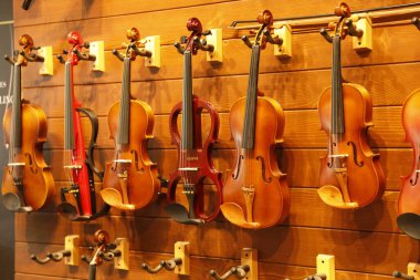 Müzik Enstrümanı Gitarları