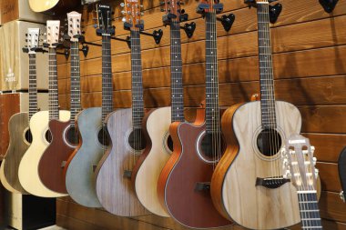 Müzik Enstrümanı Gitarları