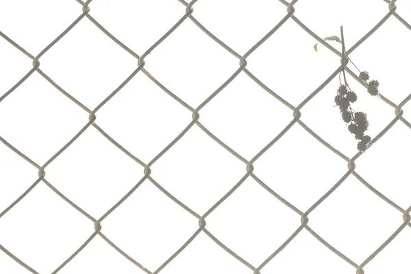 Abstrakt Metallstängsel Fängelse — Stockfoto