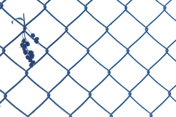 Abstract Metal Fence Jail — Stock Photo, Image