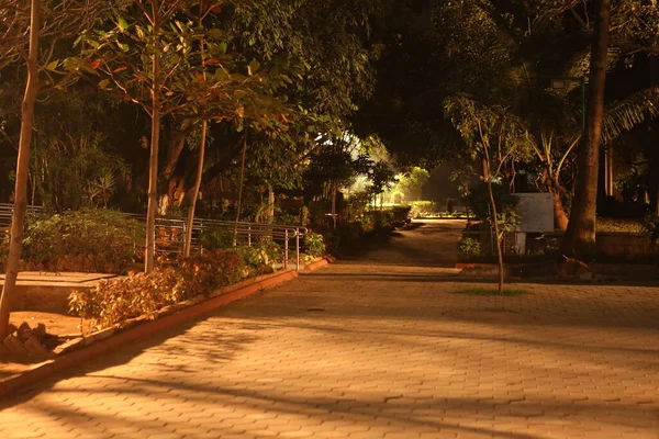 Silhouette College Students Hostel Night — Stock Photo, Image