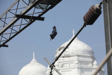 Uçurtma ipliğiyle asılı ölü güvercin