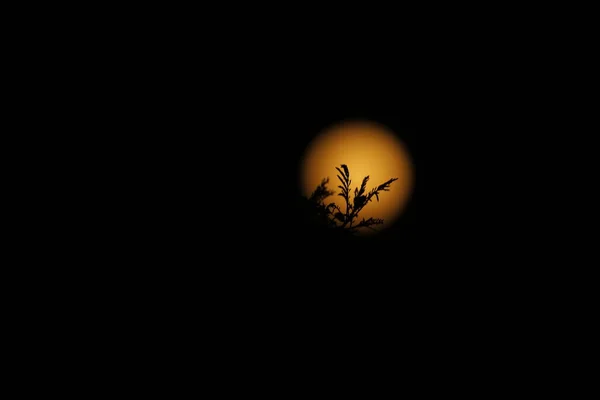 Bulan Terbenam Langit — Stok Foto