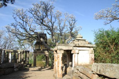 Varanasi ghat Ganj Nehri tapınakta