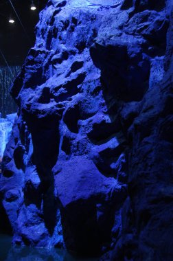 Tapınaktaki Taş 'ta Tanrı heykeli