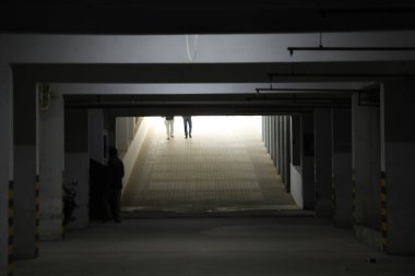 Evdeki Bir Kadının Silueti