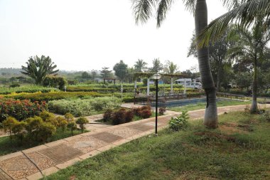 Bahçedeki bitkiler ve park yeri