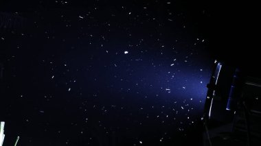 Inset 's Fly' s night before light