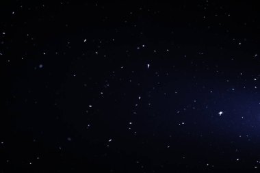 Inset 's Fly' s night before light