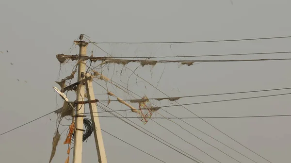 Teia Aranha Cabos Energia — Fotografia de Stock