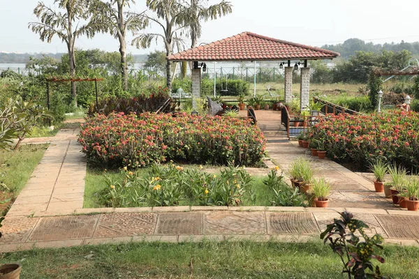 Plantas Jardín Ubicación Del Parque — Foto de Stock