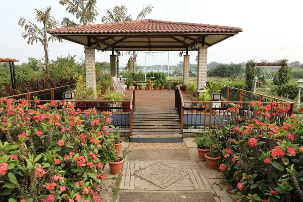 Plantas Jardim Localização Parque — Fotografia de Stock