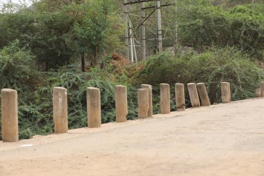 Kırsal bölgedeki Nehirden Köprü