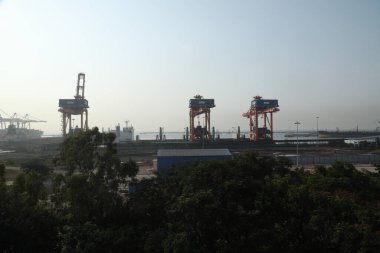 Heavy Cranes at Harbor