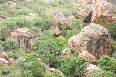 Çiğ taş dokusu kapat