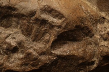 Çiğ taş dokusu kapat