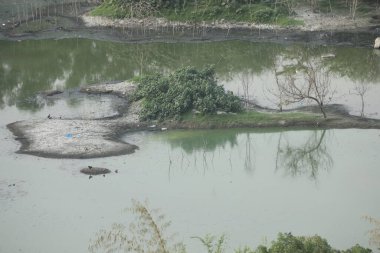 Kırsal bölgedeki Su Havuzu