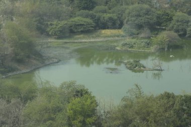 Kırsal bölgedeki Su Havuzu