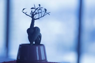 Dekoratif ev eşyası.