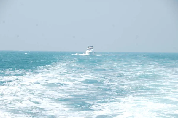 Snelboot Een Zee — Stockfoto