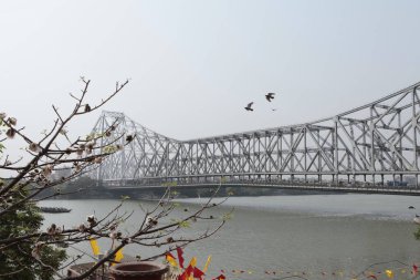 Plajdaki park tekneleri