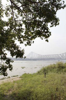 Plajdaki park tekneleri