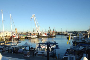 Plajdaki park tekneleri
