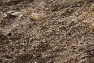 Pirinç Değirmeninde Kül