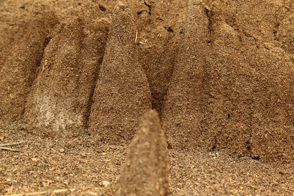 Pirinç Değirmeninde Kül