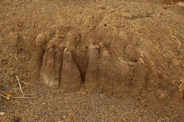 Pirinç Değirmeninde Kül