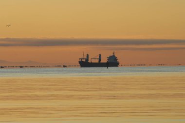 Harbor 'da bir gemi.