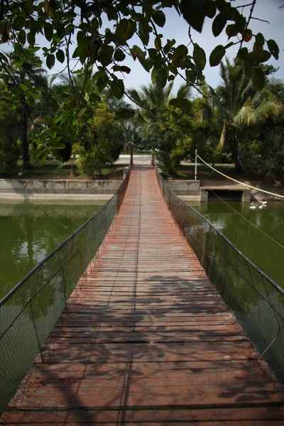 Bridge Gennem Road Indien - Stock-foto