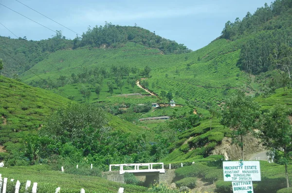 Pont Travers Route Inde — Photo