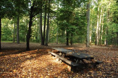 Tatil köyündeki ahşap bankta.
