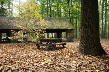 Terk Edilmiş Hindistan Köy Evi