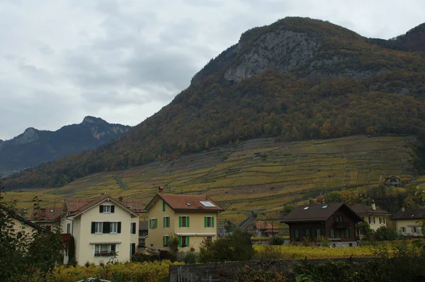 Bondegård Europa - Stock-foto