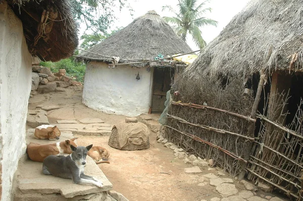 Poor Hut in a Village India