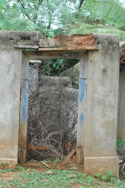 Munnar Kerala Hindistan Kırsalında Bir Kulübede — Stok fotoğraf