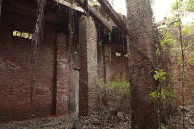 Vintage Building India 'nın dışı