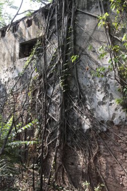 Vintage Building India 'nın dışı