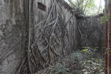 Vintage Building India 'nın dışı