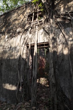 Vintage Building India 'nın dışı