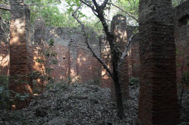 Vintage Building India 'nın dışı