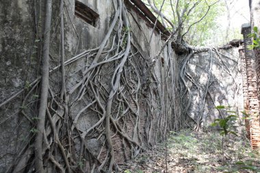 Vintage Building India 'nın dışı